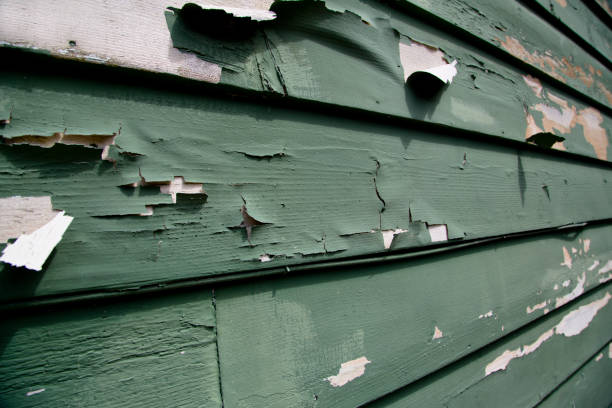 Affordable Siding Repair and Maintenance Services in Firthcliffe, NY